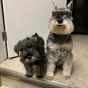 Meet your Posher, Jm